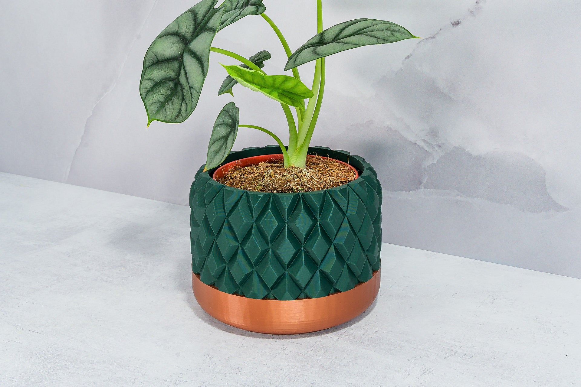 Angled with Alocasia: "Side angle of GEM planter with copper base and forest pattern, displaying an alocasia plant."
