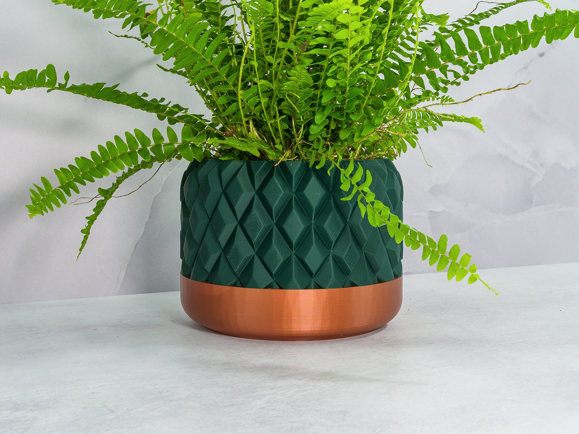 Angled with Fern: "Angled view of GEM planter with copper base and forest pattern, showcasing a fern plant."
