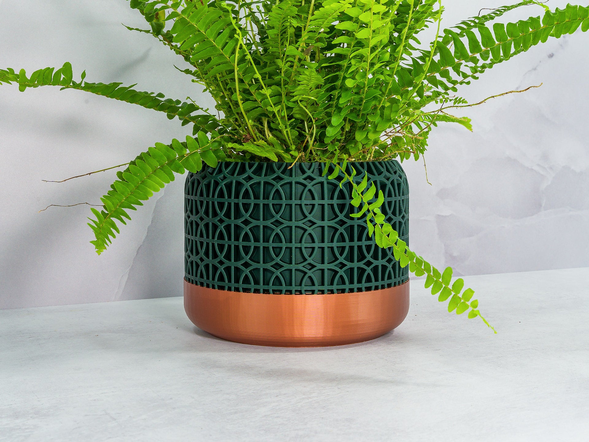 Angled with Fern: "Angled view of INTERSECT planter with copper base and forest pattern, showcasing a fern plant."
