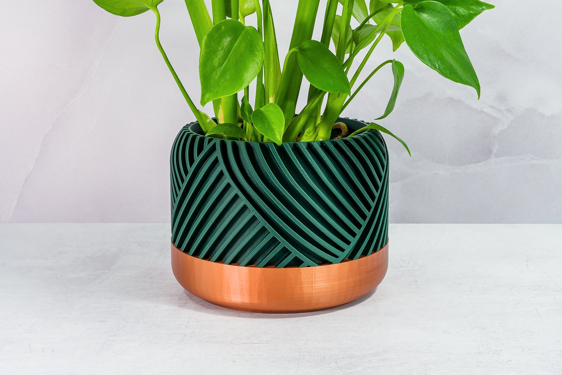 Zoomed In with Monstera: "Close-up of PEAK planter with copper base and forest pattern, featuring a monstera plant."
