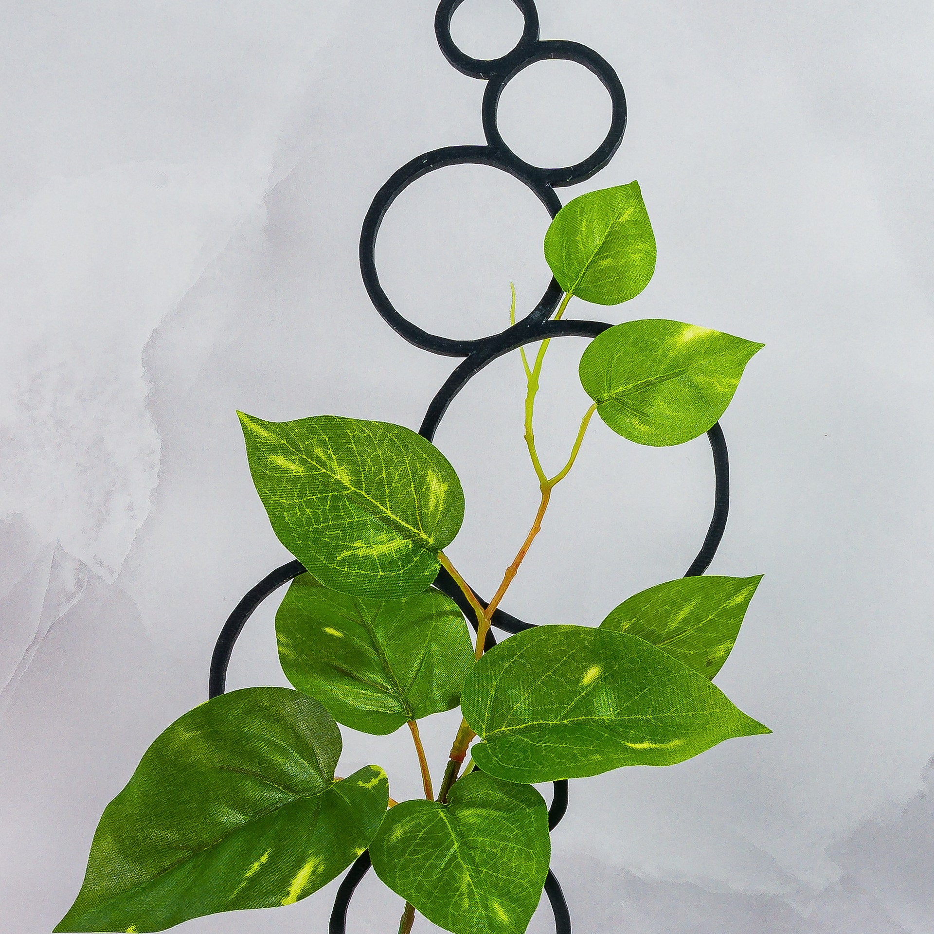 "Zoomed-in shot of CARBON Circles Trellis Spike and climbing plant, emphasising contemporary aesthetic."
